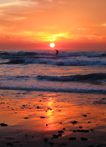 sunset_surfing_small.jpg
